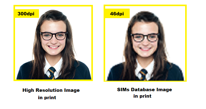 SIMs_comparison
